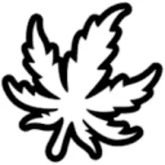 Revista THC logo