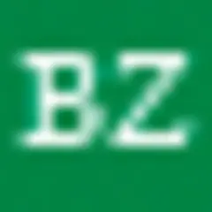 Badener Zeitung logo