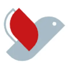 Novice logo