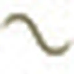 LoungeFM logo