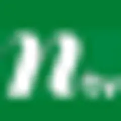 NTV logo