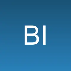 Belize Investment News logo