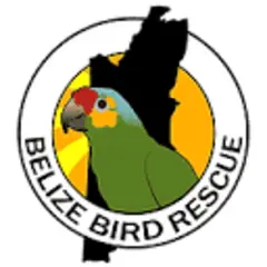Belize Bird Rescue News logo