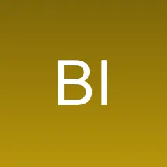 Belize Investment Summit News logo
