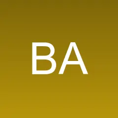 Bhutan Affairs News logo