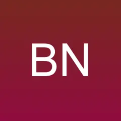 Bhutan News Talk logo
