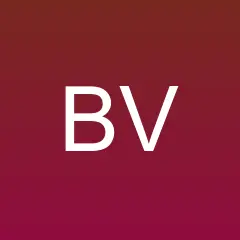 Bhutan Voices logo