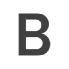 BIRN BiH logo