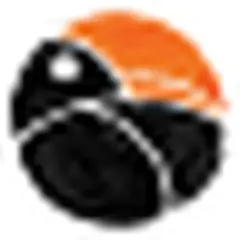 Big Radio logo