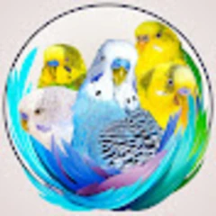 Alen AxP logo