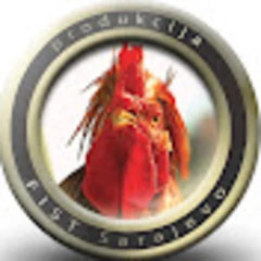 Lud,zbunjen,normalan | ZVANICNI KANAL | FIST Pro  logo