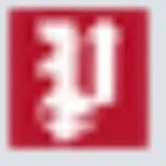 The Patriot on Sunday logo