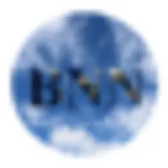 Borneo News Network logo