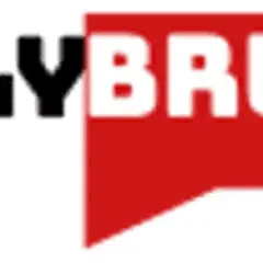 Brunei Daily News logo