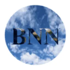 Borneo Insider logo