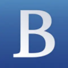 Brunei Economic News logo