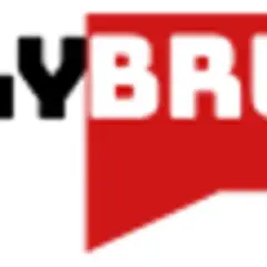 Daily Brunei logo