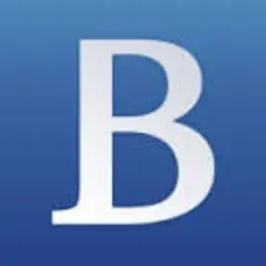 The Bruneian logo