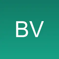 Brunei Voices logo