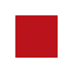 Duma logo