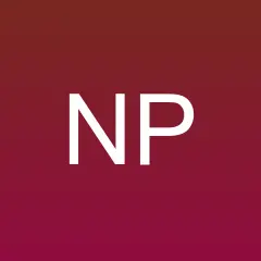 Net Press logo