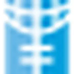 Youth Voice BI logo