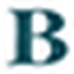 BNN Breaking News logo