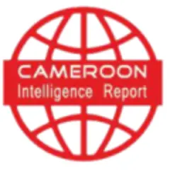 Cameroon Intelligence logo