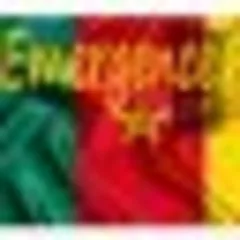 Émergence logo