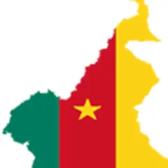 CamerounWeb logo