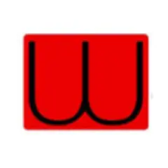 Music Scene Douala logo
