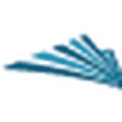 Praia News logo