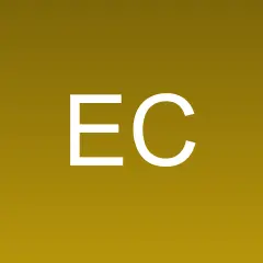 ECNS logo