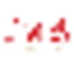 Hunan Daily logo