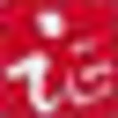 Securities Times logo