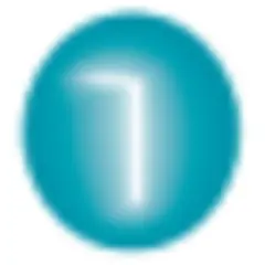 Southern Metropolis Daily logo