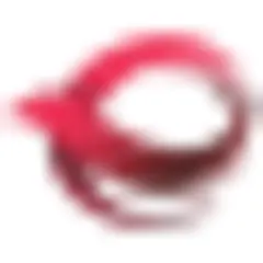 Xinmin Evening News logo