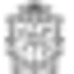 UN Radio logo