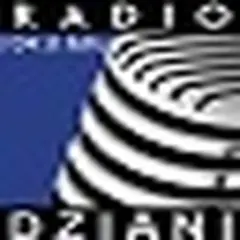 Radio Dziani logo
