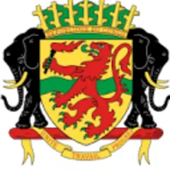 Culture Agency Congo logo