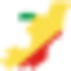 Les Échos du Congo-Brazzaville logo