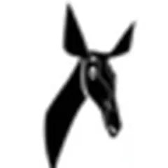 Radio Kintuadi logo