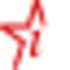 Invasor logo