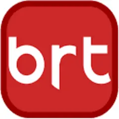 Bayrak International logo