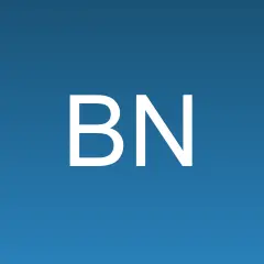 Borgis Newsroom logo