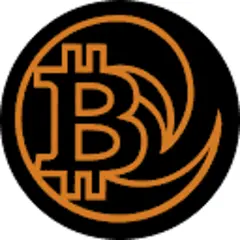 Bitcoiners - Live From Bitcoin Beach logo