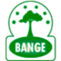 BANGE Magazine logo