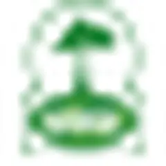 Bange TV logo