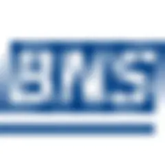 BNS Estonia logo