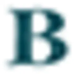 Baltic News Network Estonia logo